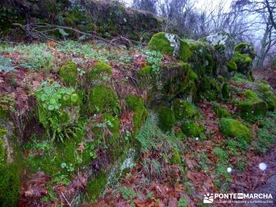 Valle del Ambroz-Sierra de Bejar - Gredos; rutas senderismo madrid;las cabrillas